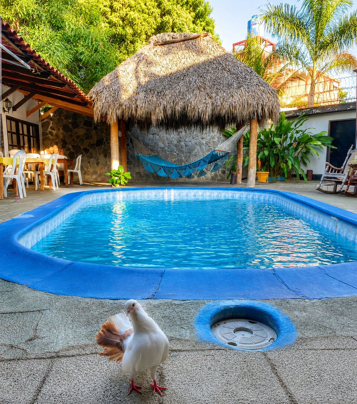 Utomhuspool