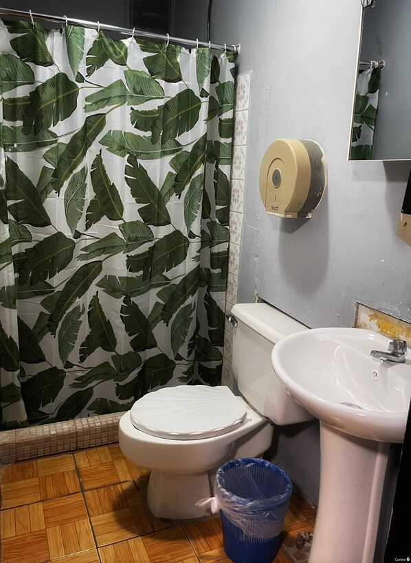 A bathroom with a toilet, sink, and shower curtain with a leaf pattern. - Hotel Oasis Managua (Managua)