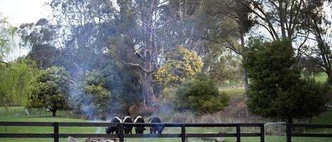 Enceinte de lâhĂ©bergement