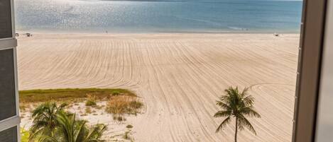 Una spiaggia nelle vicinanze