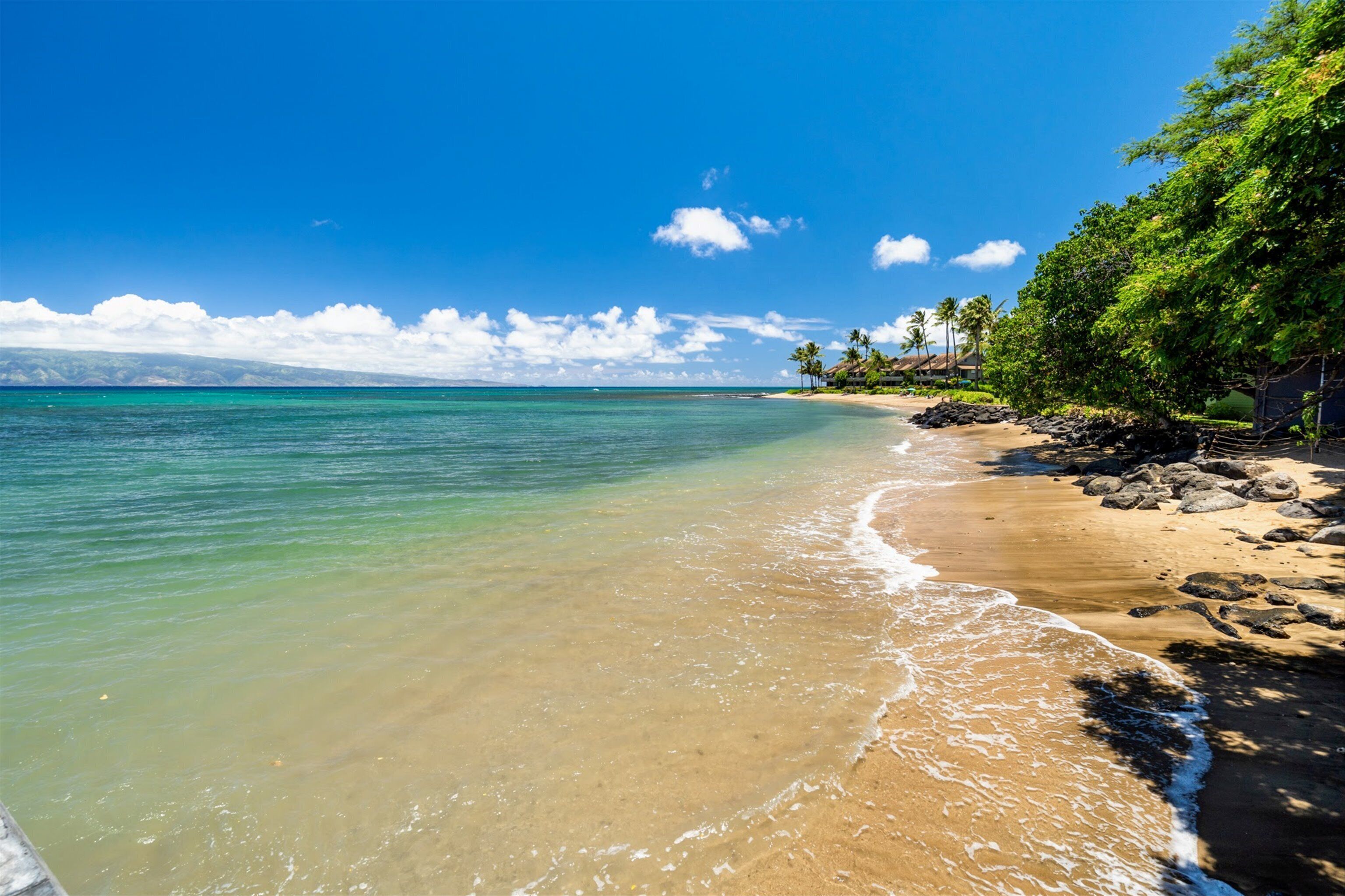 Chaises longues, serviettes de plage