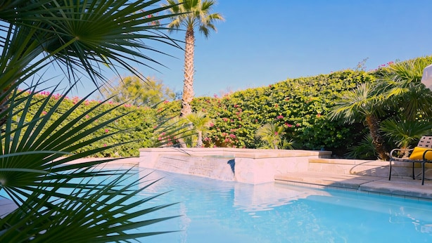 A swimming pool with a palm tree and a hedge in the background. - Coachella Walkable | Tuscan Villa | Pool Sleeps 12 (Indio)