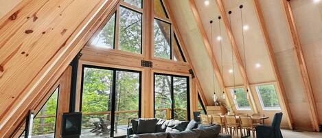 Smart-tv, pejs, videospil, bøger