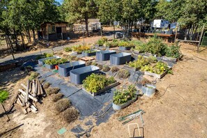 المنطقة المحيطة بالمنشأة