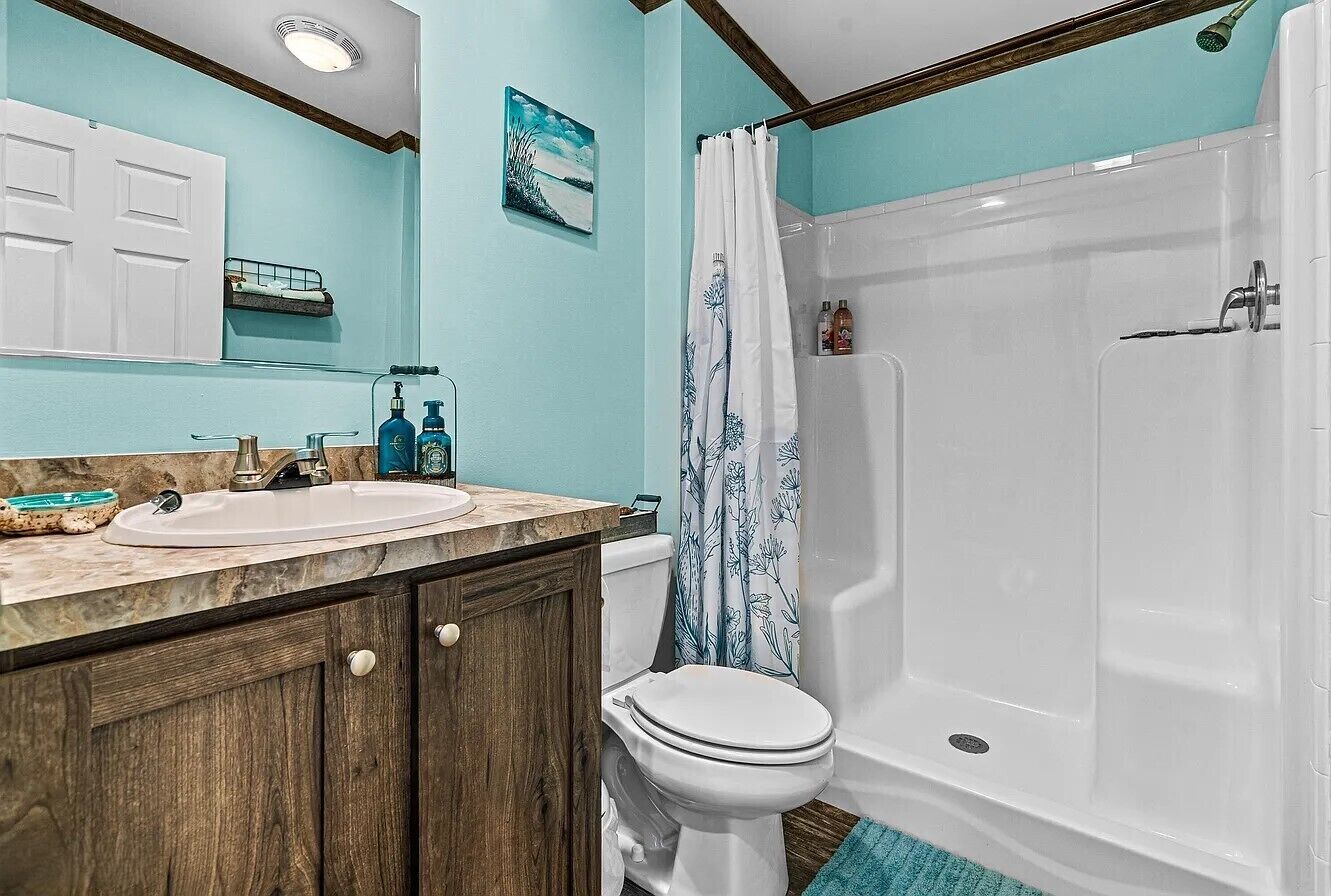 Shower, towels, toilet paper