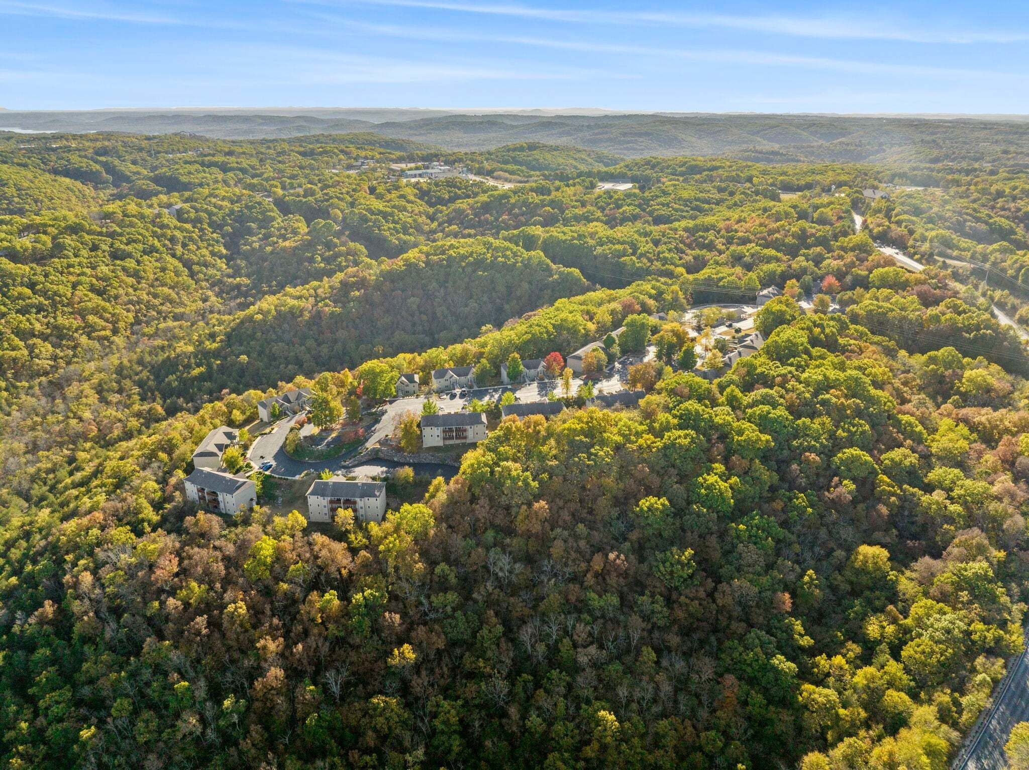 An aerial view of a residential area with houses surrounded by dense forest, a clear sky, and a distant view of hills.
