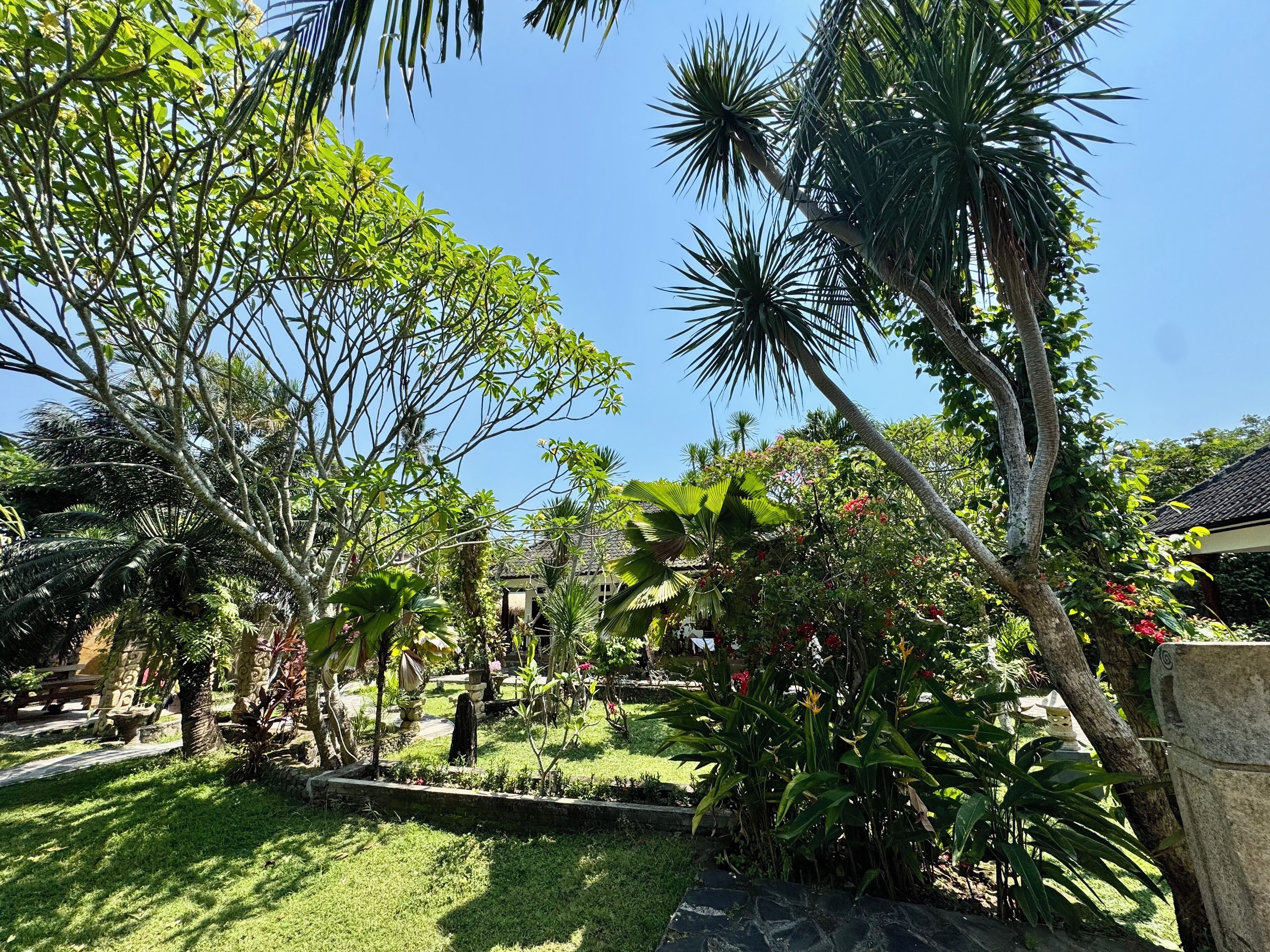 A lush garden with various tropical plants and a stone pathway.
