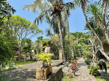 Vista al jardín