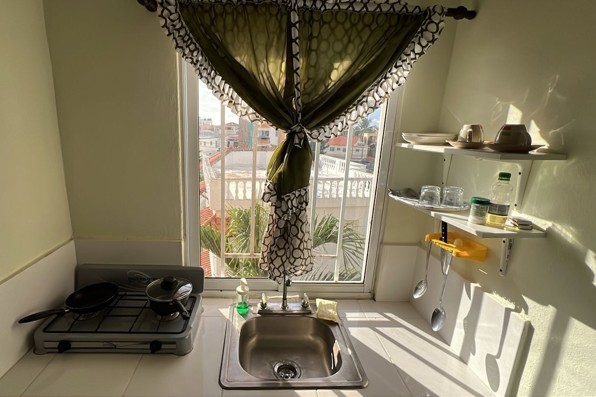 A small kitchen with a gas stove, a sink, and a window with a view of buildings.
