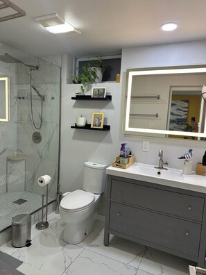 Hair dryer, towels, toilet paper