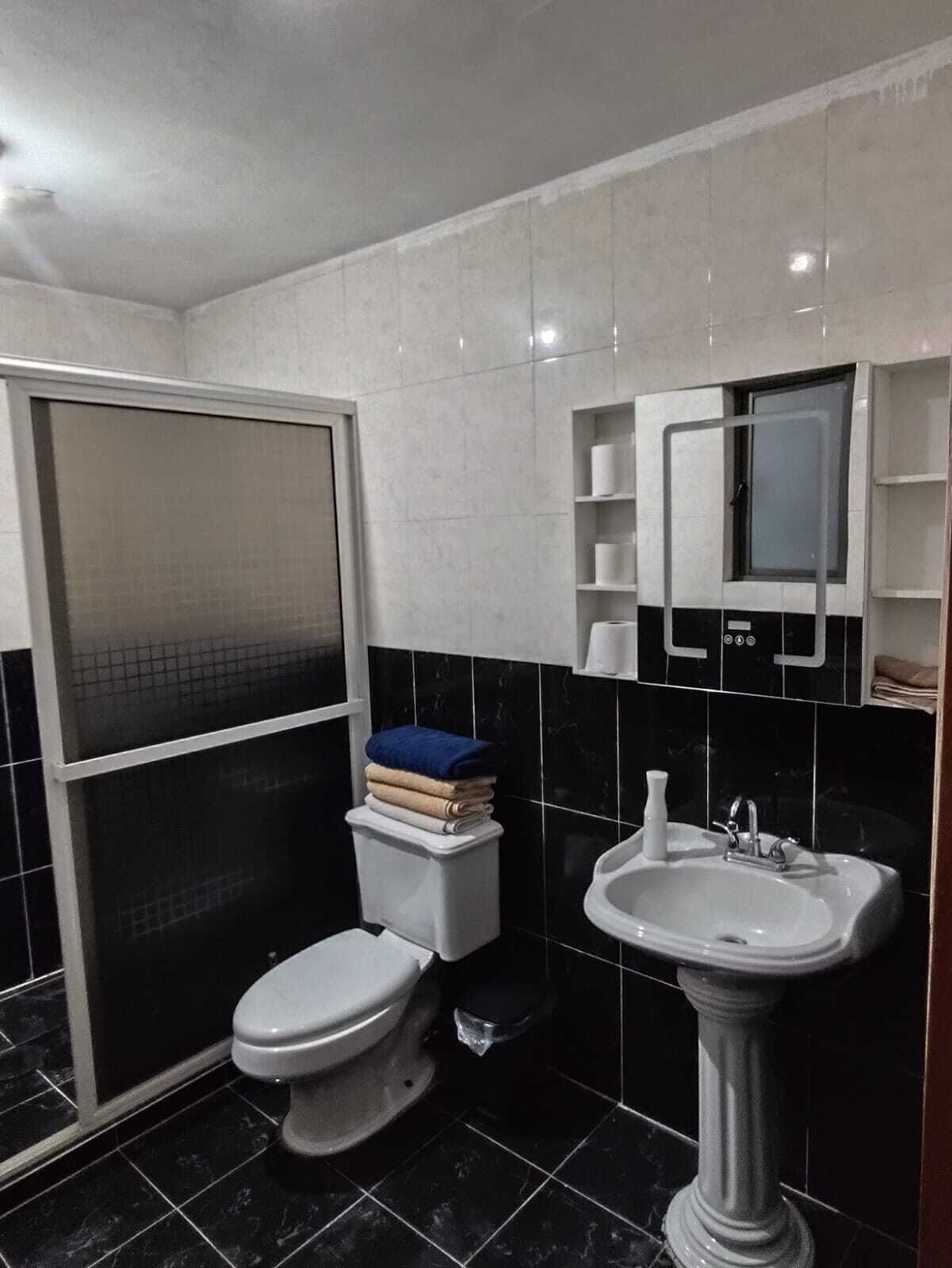 Assecador de cabells, tovalloles, sabó i paper higiènic 