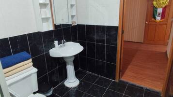 Hair dryer, towels, soap, toilet paper