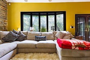 TV connectée, cheminée, chaîne hi-fi, écrans d'ordinateur