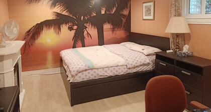 Quite Basement with separate entrance, Friendly neighborhood,