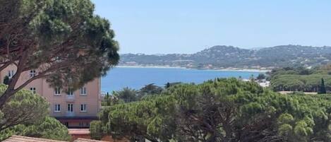 Vista desde la propiedad