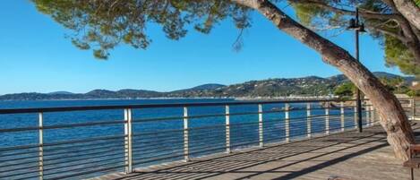 المنطقة المحيطة بالمنشأة