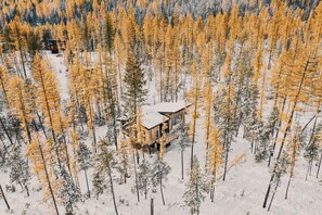 A modern cabin surrounded by a dense forest with snow-covered ground.