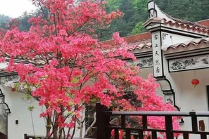 客房