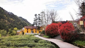 A yellow building with a red roof, surrounded by greenery and a pathway leading to it. - Jiu Hua Qing Quan Hotel (Qingyang)