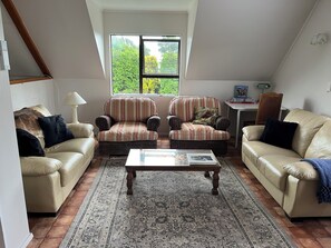 TV, fireplace, DVD player, books