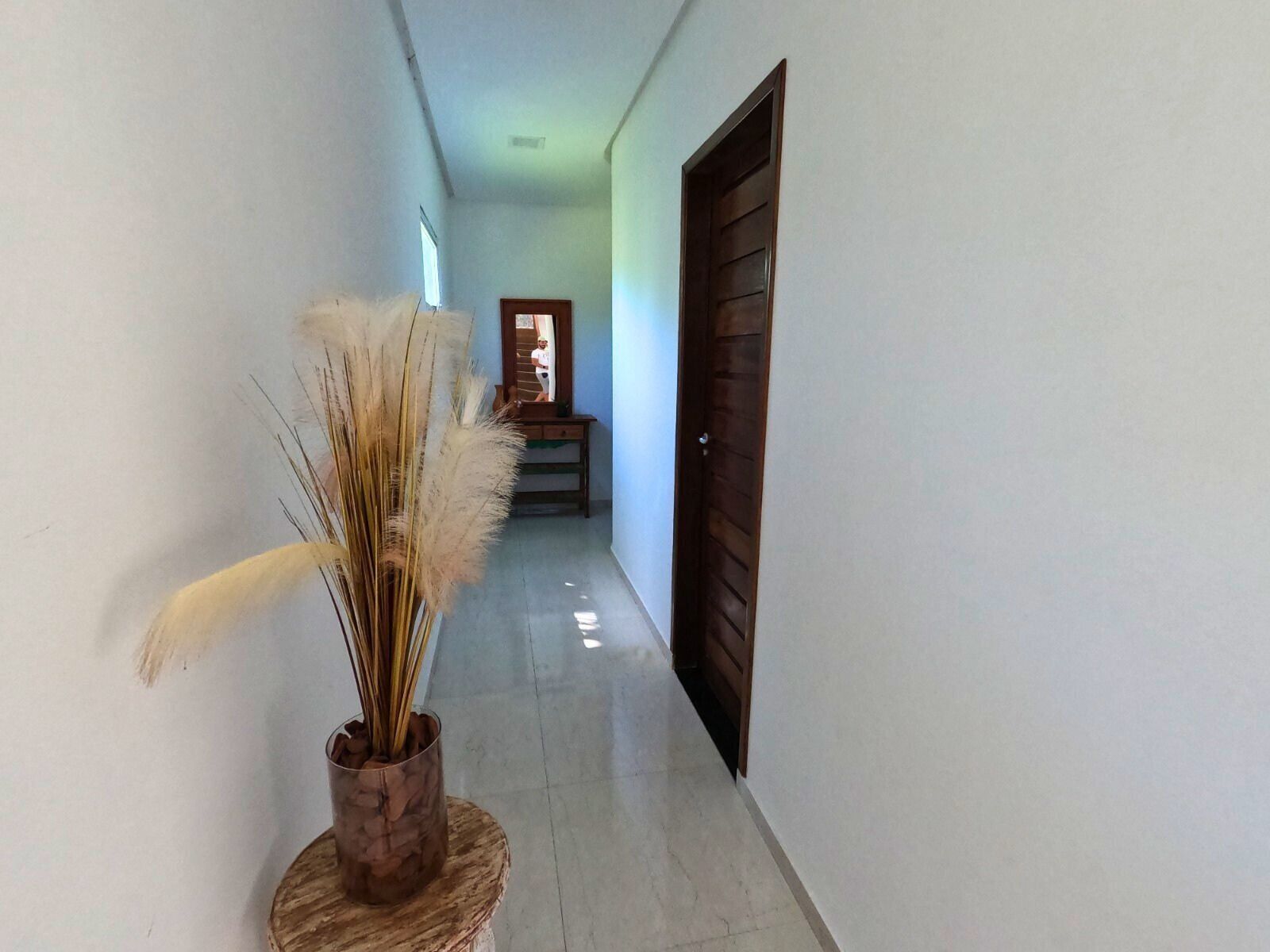 A hallway with a wooden door, a mirror, and a plant on a round wooden stool.