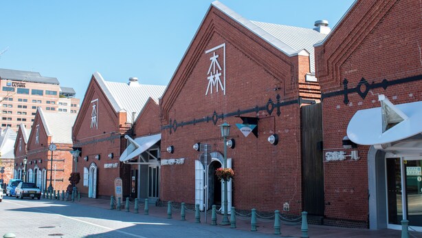 A row of brick buildings with arched windows and a clear blue sky. - THE HORAI (Hakodate)