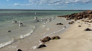 A beach with clear turquoise water, rocky shoreline, and a distant pier.