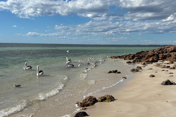 Strand