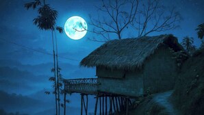 A thatched-roof house on stilts with a wooden walkway, set against a night sky with a full moon. - Mirinja Valley Megh Machang Resort (Lama)