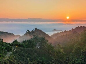 Vista desde la habitación