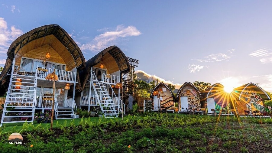 Strawberry Guyabano Farm