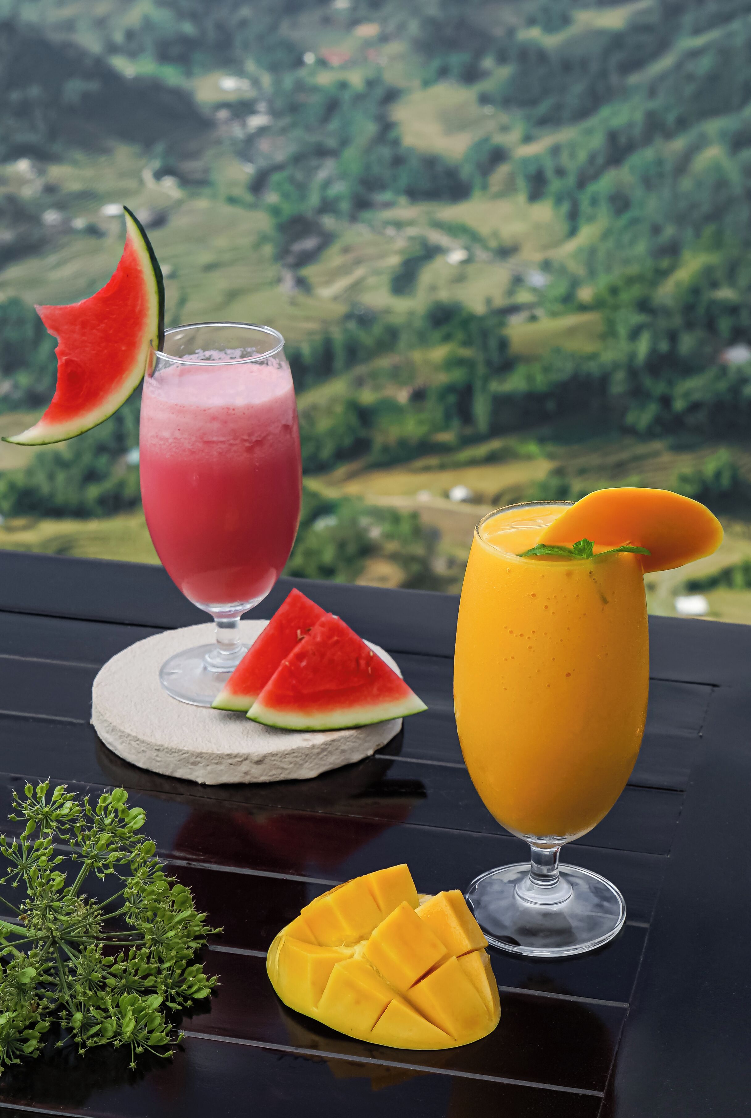 Two fruit-based drinks on a table with a scenic view in the background.