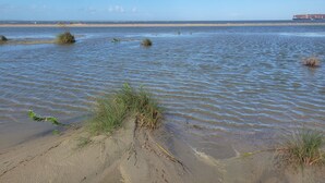 A coastal landscape with a sandy beach and calm water. - Family Beach Retreat with Ocean Views and Pools (Tybee Island)