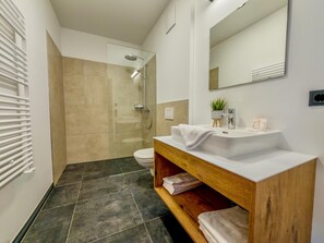 Regadera y secadora de cabello 