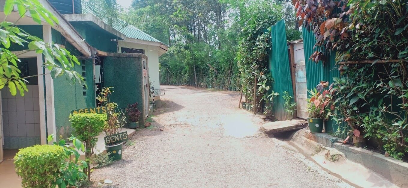 A narrow driveway leading to a building with a green roof and a sign indicating "AGENTS" and "GENTS".