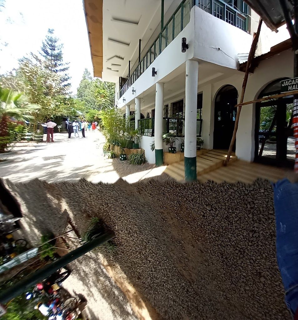Un espacio al aire libre cubierto con piso de grava, plantas en macetas y una escalera que lleva a un nivel superior.