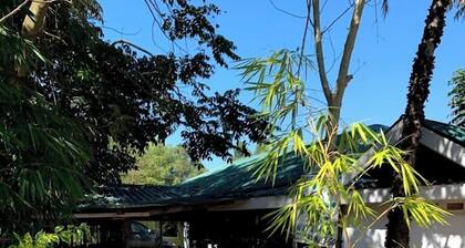 Roddy's Green Lounge Vihiga