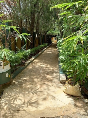 Garden - Roddy's Green Lounge Vihiga (Buyangu)