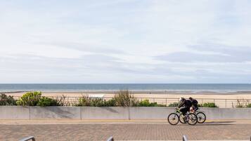 بالقرب من الشاطئ