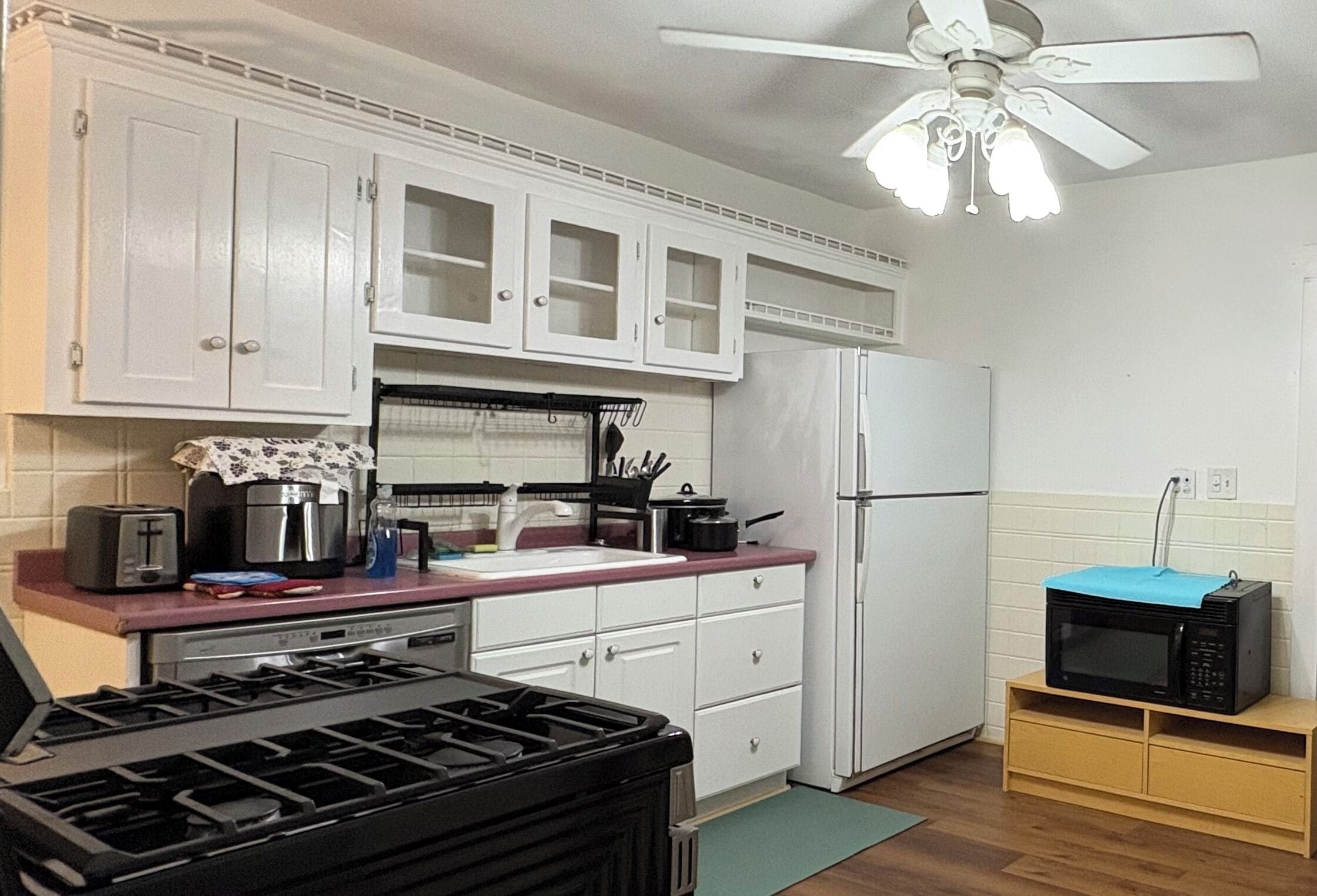 Microwave, oven, stovetop, dishwasher