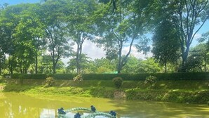 A boat docked at a wooden pier with a view of a lush green landscape and a calm river. - Reverie Resort (Gazipur)