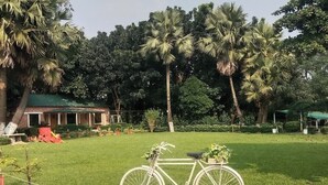 A grassy area with a bicycle, rocks, and potted plants. - Reverie Resort (Gazipur)