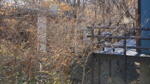 A wooden deck with railings, surrounded by dense shrubbery and trees. - rinne 2nd living Nasu Creek (Nasu)