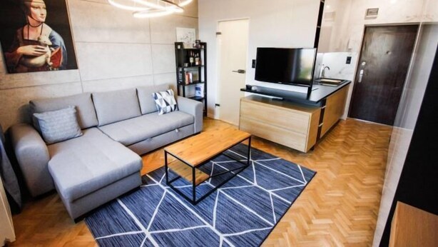 A modern living room with a grey sofa, a wooden coffee table, and a black TV stand. - Nowolipki Studio, City Center Skyline View, WarsawStay (Warsaw)