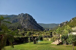 Miscellaneous - Villa Giuncalia A: A welcoming apartment surrounded by the greenery, with Free WI-FI. (Giungano)