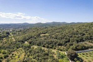 Un paysage vallonné, avec une végétation luxuriante et une route.