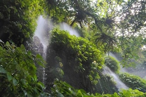 Een waterval omgeven door weelderige begroeiing.