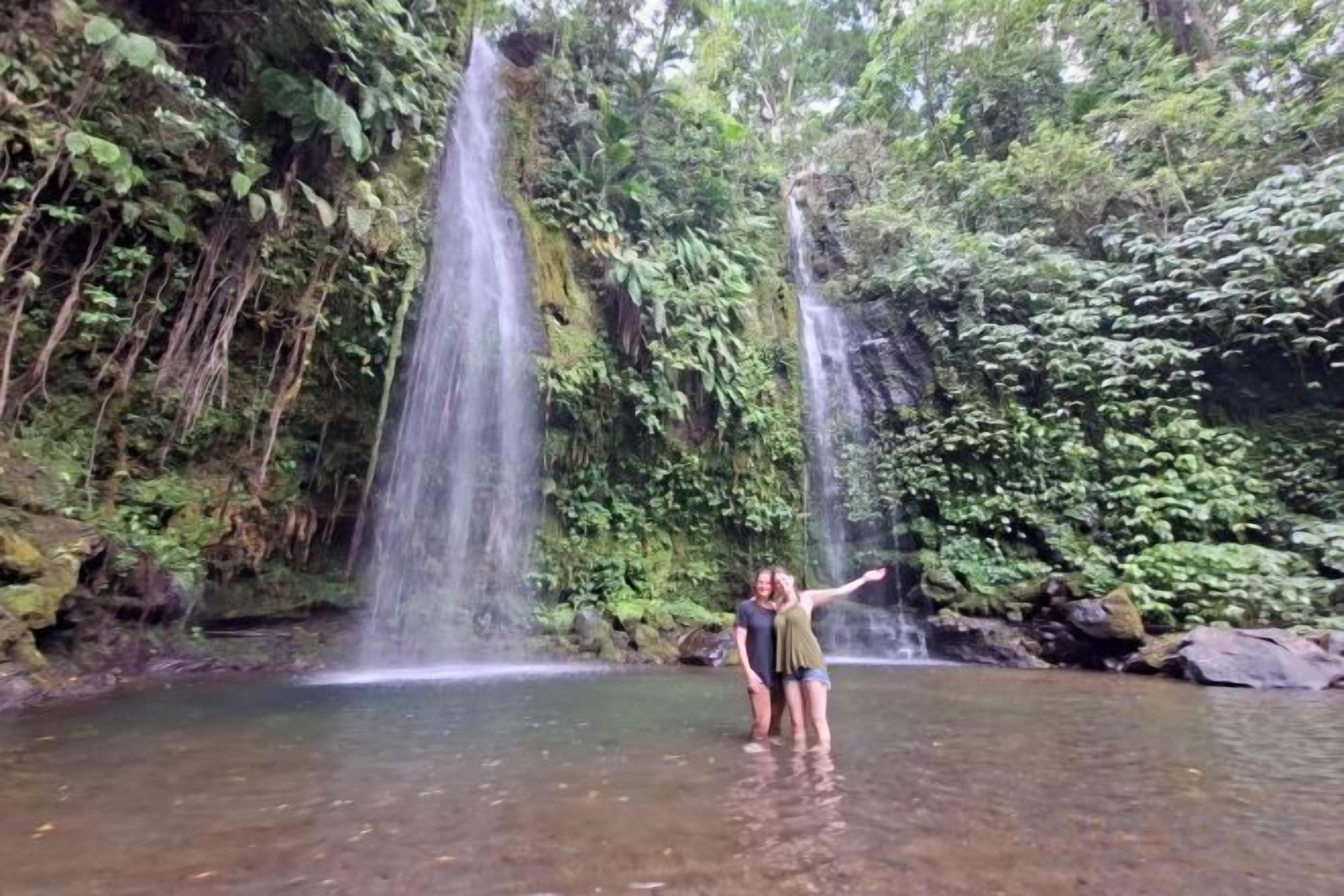 A waterfall with two streams, surrounded by dense greenery.