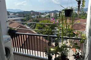 Vista desde la propiedad