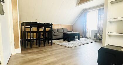 Modern & Comfortable Apt 3 mins walk to usb arena in the Heart of Queens Village